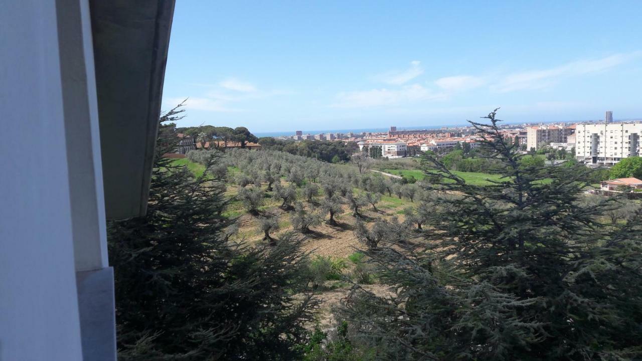 Dolci Ricordi Apartment