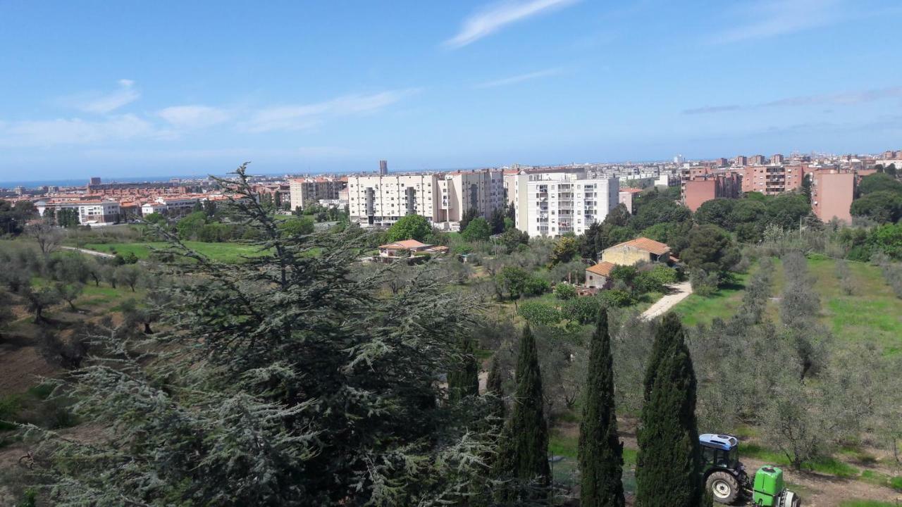 Apartment Dolci Ricordi Livorno